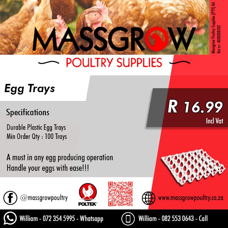 https://massgrowpoultry.co.za/wp-content/uploads/2023/05/Massgrow-flyer-2.jpg